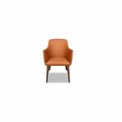 Hilton Comfortable Brown Shell Chair